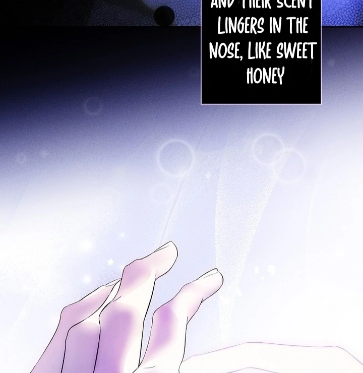 Secret Lady Chapter 116 56